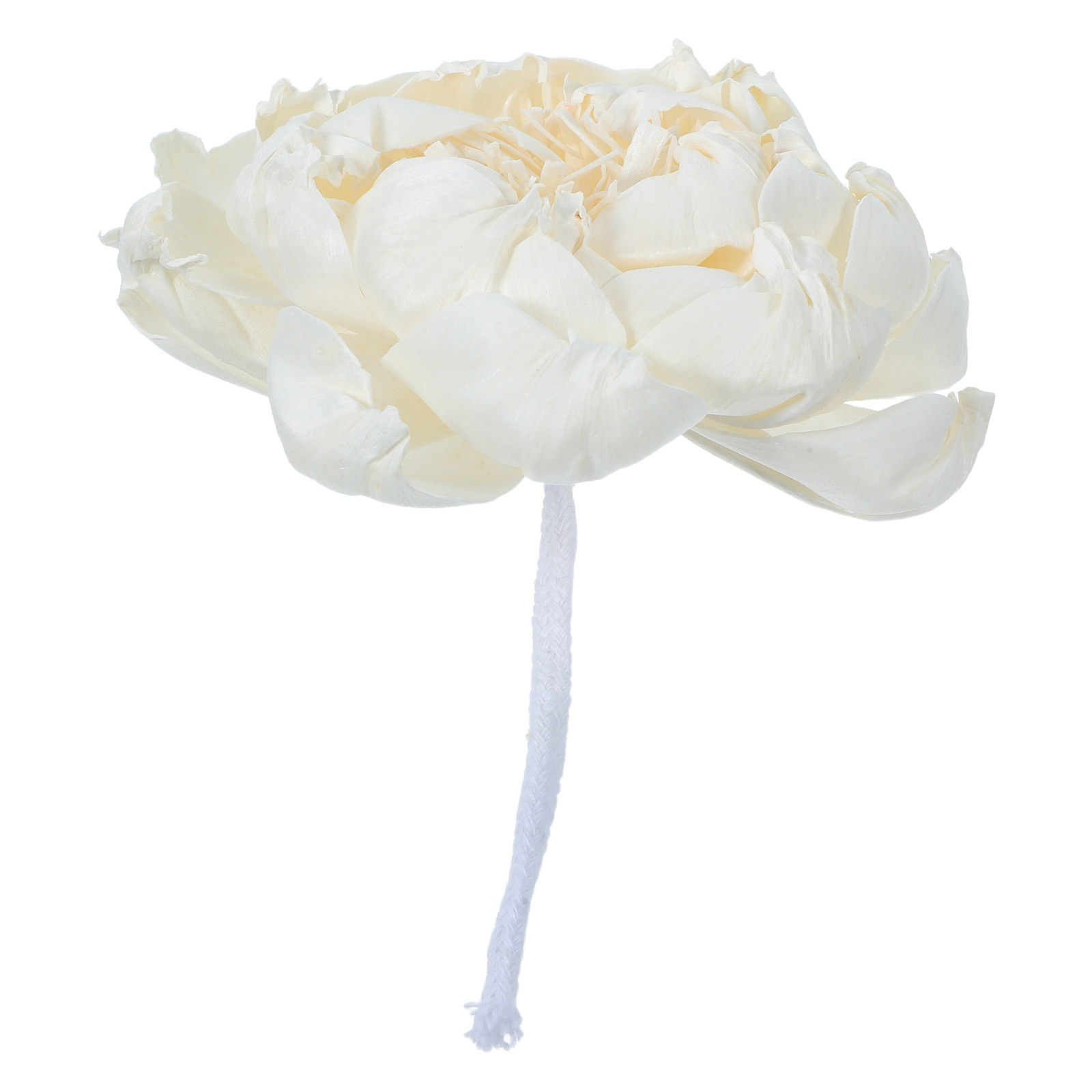 Peony Head Fragrance Diffuser  - đánh giá và giá Home Fragrance Aromatherapy