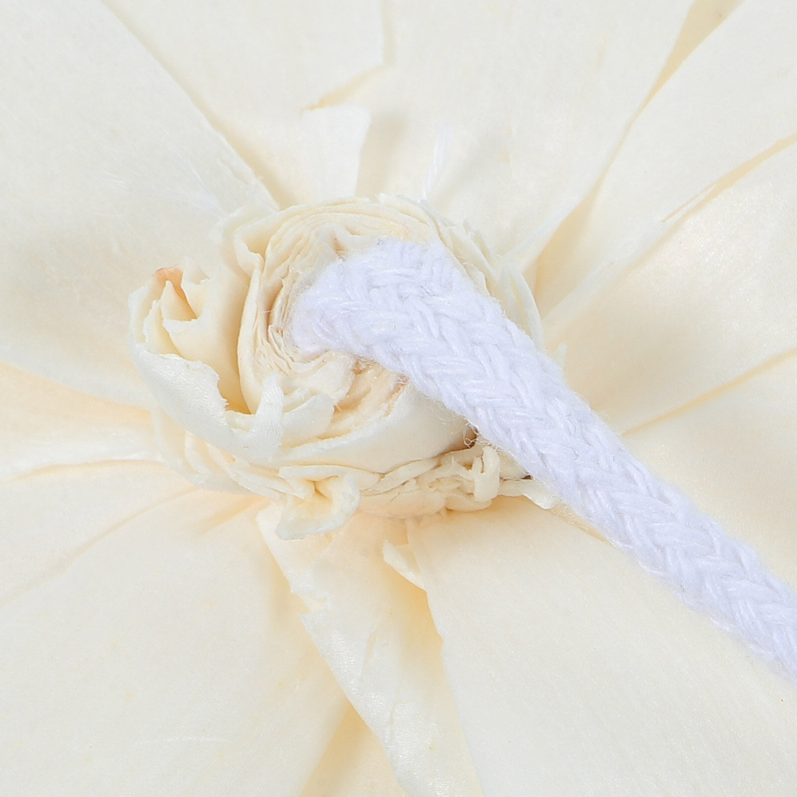 Peony Head Fragrance Diffuser  - đánh giá và giá Home Fragrance Aromatherapy