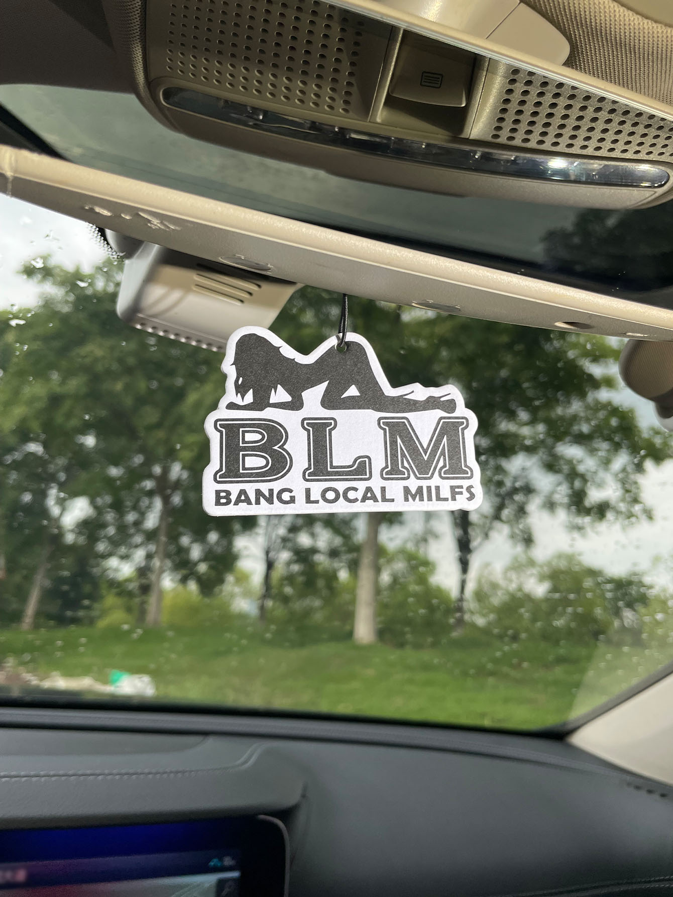 Blm Bang Local Milf/Fresh Frag - đánh giá và giá Home Fragrance Collection